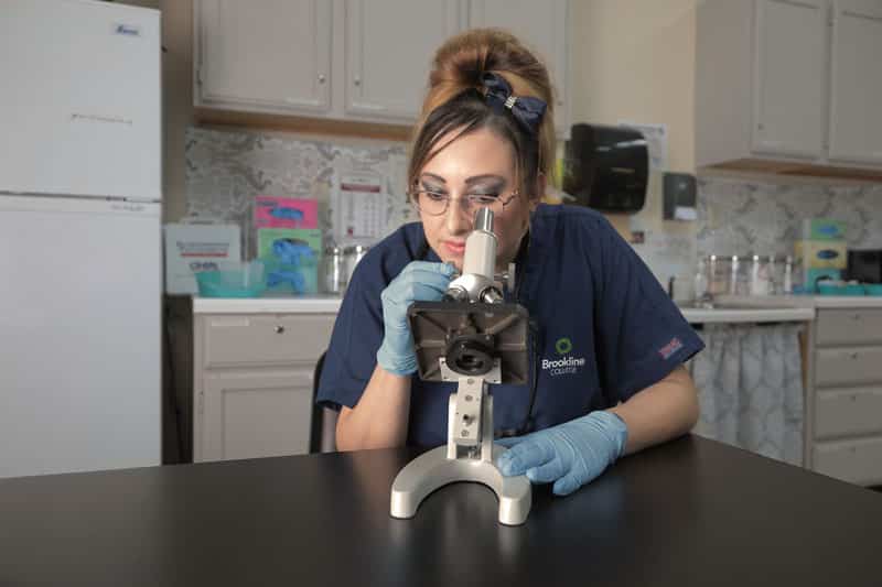Student looking through a microscope
